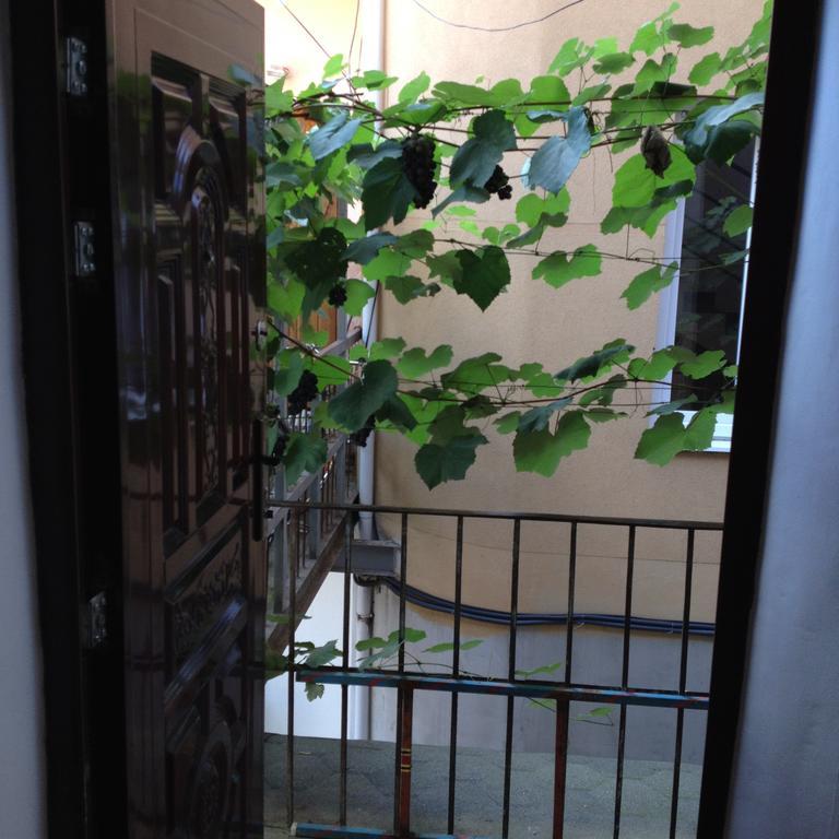 Apartment Downtown موكاشيفه المظهر الخارجي الصورة